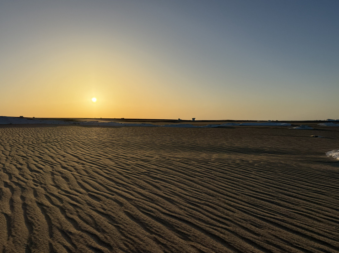 Bahariya Oasis Guide-Bawiti必去景点