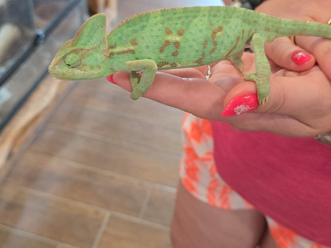 Reptisland-Melidoni必去景点