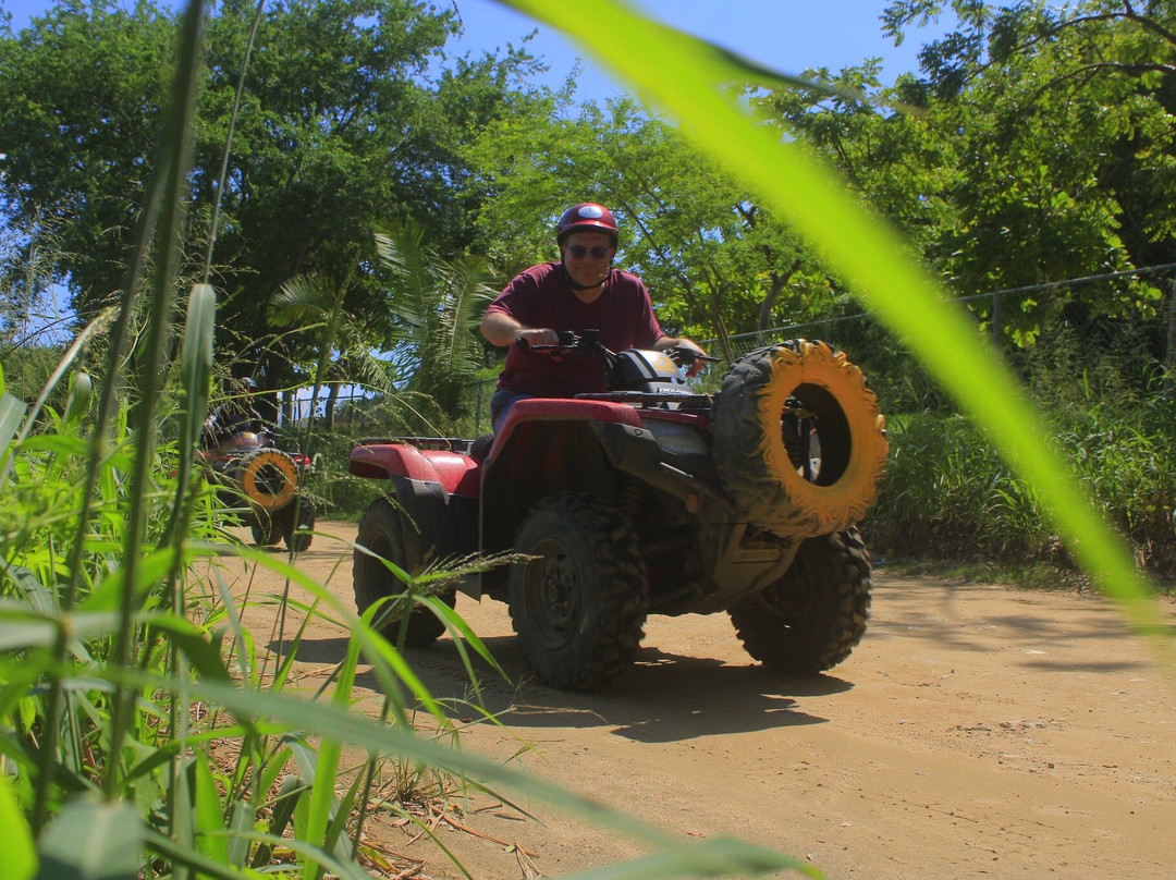 Vista Paraiso - Day Tours and Activities-Higuera Blanca必去景点