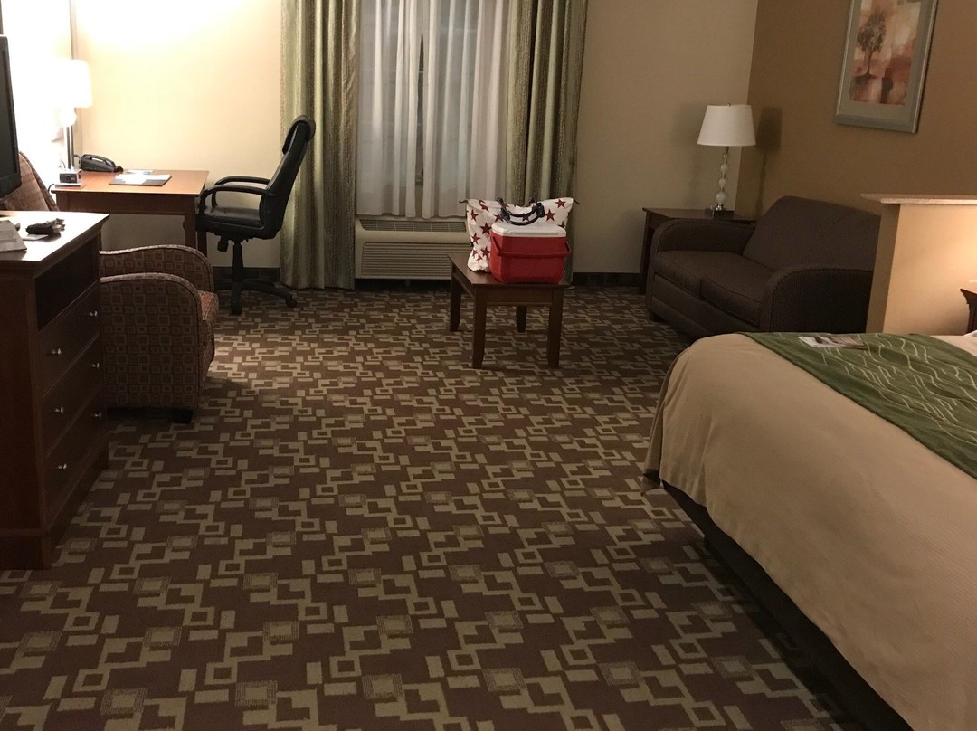 Comfort Inn & Suites主图