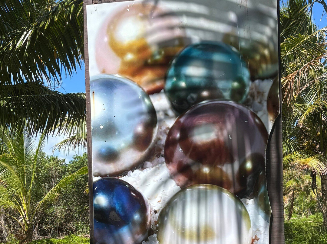 Civa Pearl Farm-塔韦乌尼岛必去景点