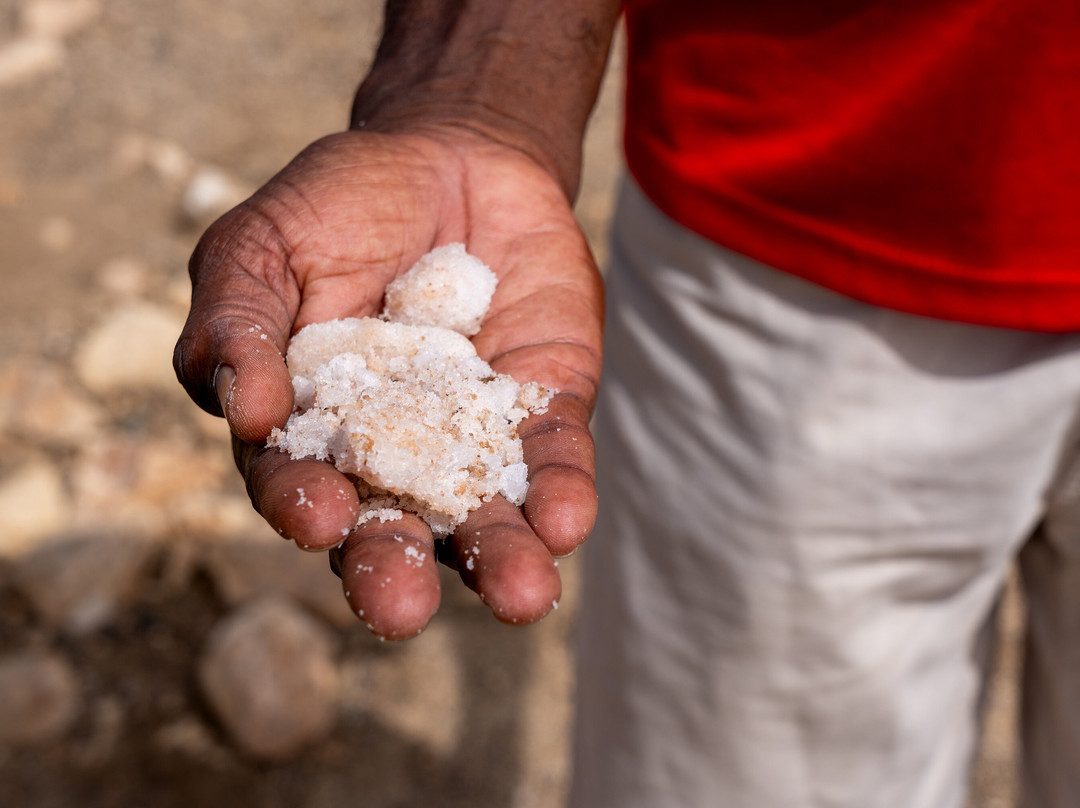 Ddudu Tours-博阿维斯塔必去景点