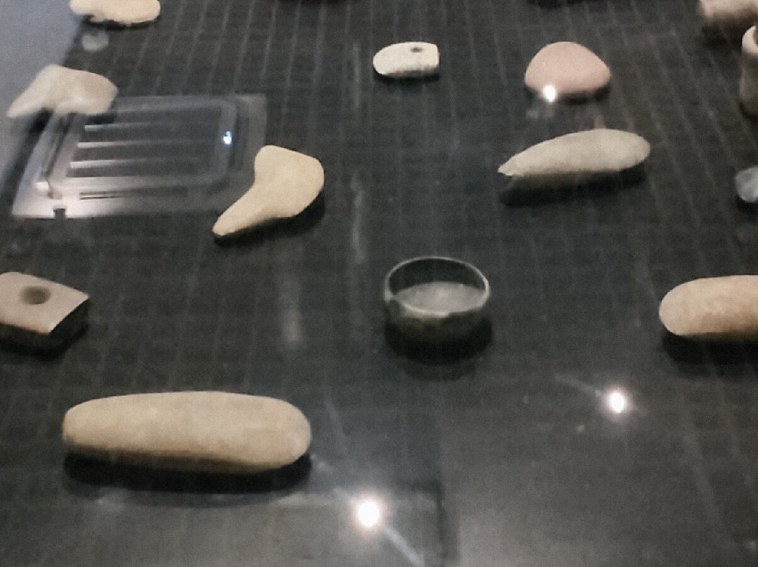 MACCO - Museo Arqueologico Centro Cultural Orellana-Coca必去景点