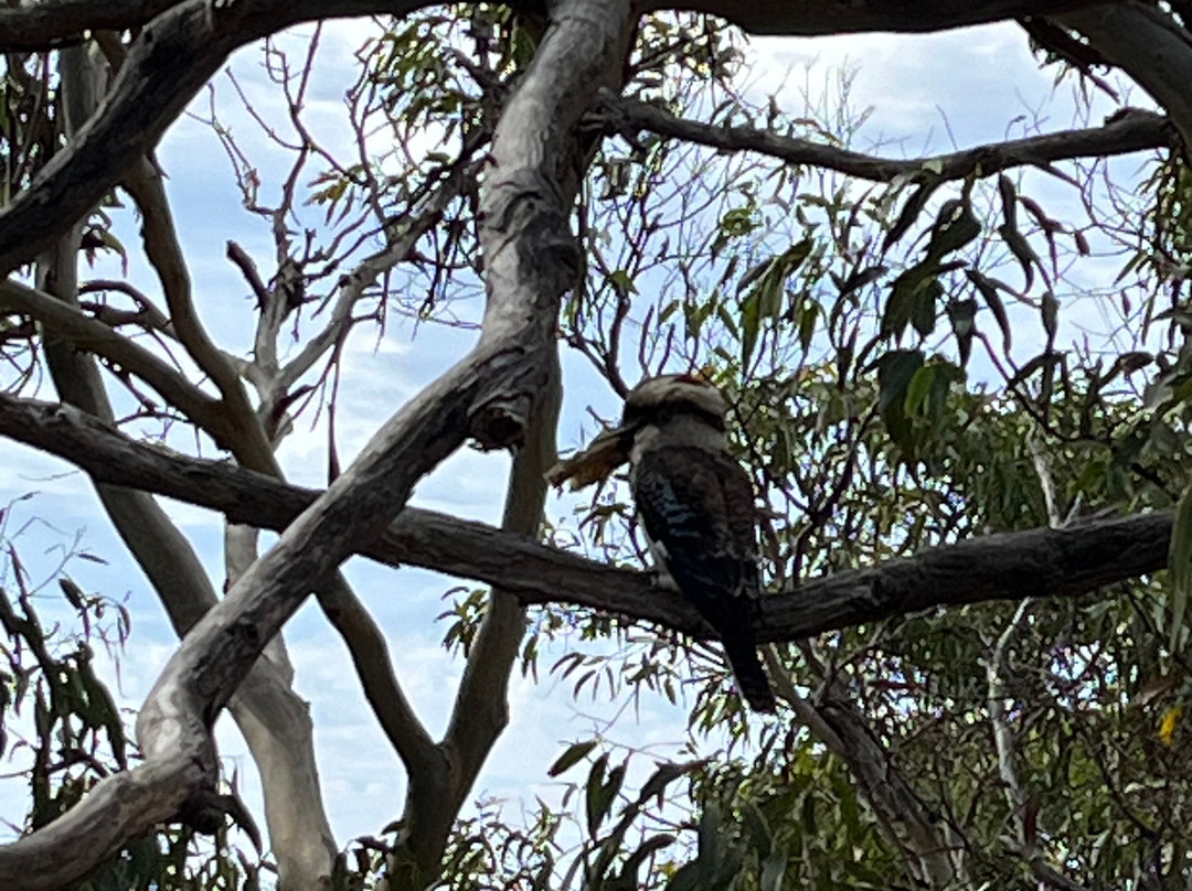 Teddy's Lookout-洛恩必去景点