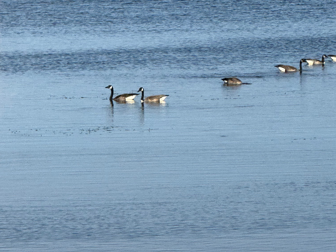 Lake Superior & Mississippi Railroad-德卢斯必去景点