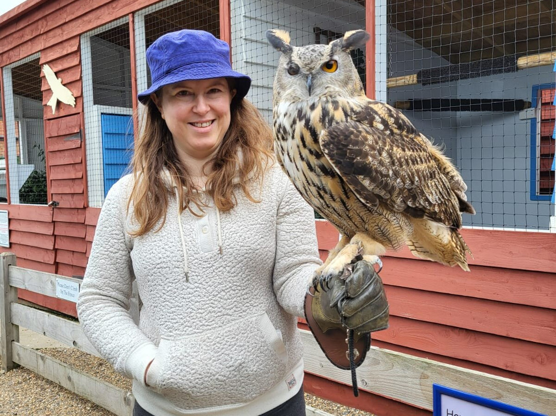 Feathers and Fur Falconry Centre-布拉克内尔必去景点