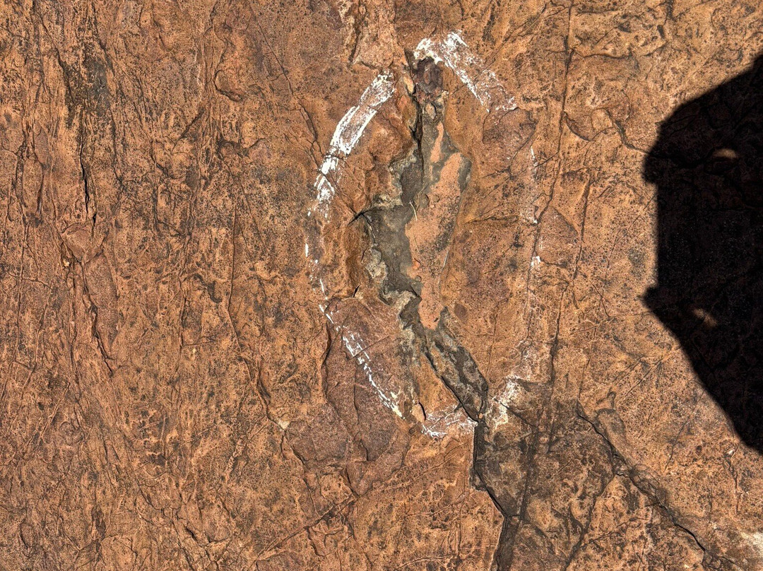 Dinosaur's Tracks主图