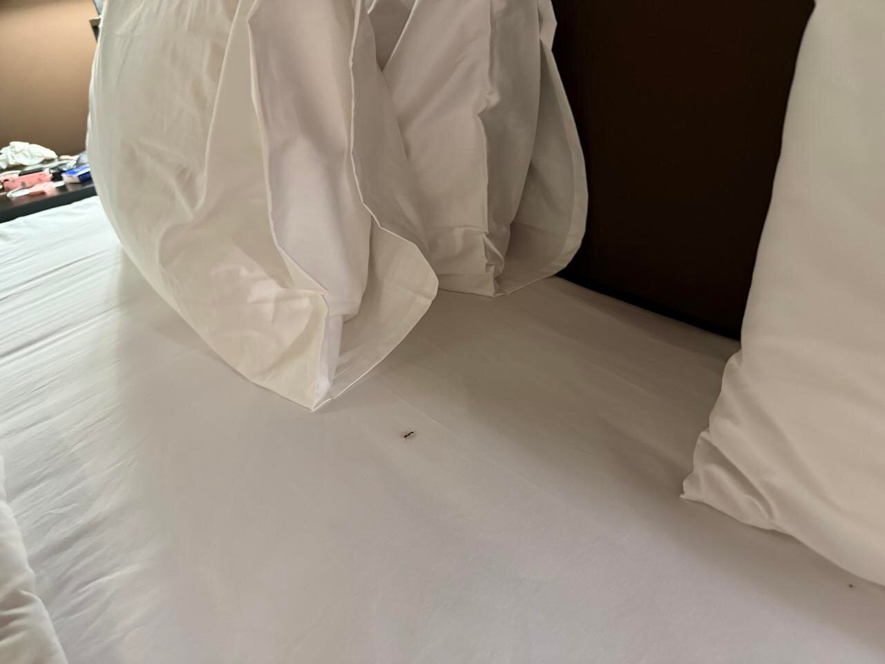 桑克图别墅-客卧