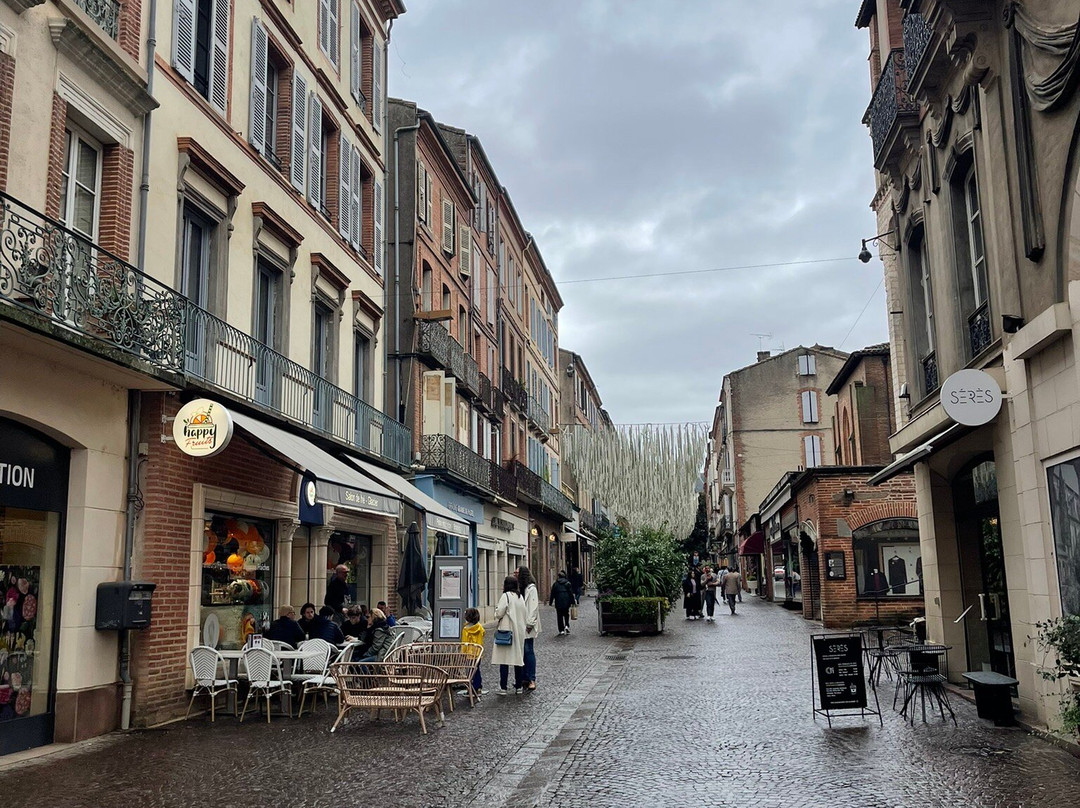 Tourist Office of Albi-阿尔比必去景点