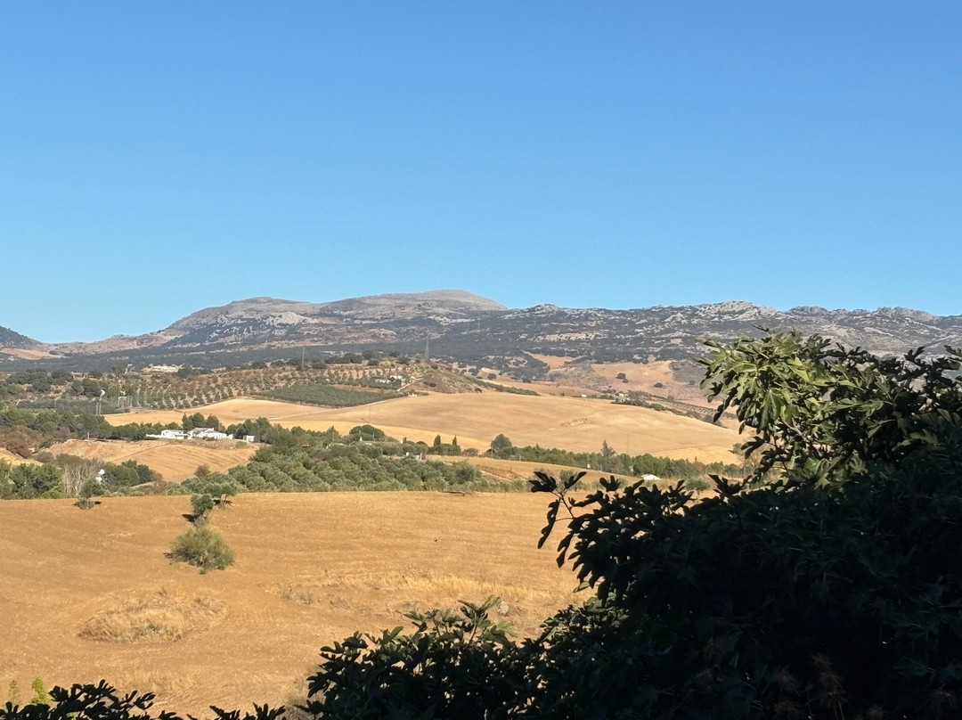 Ronda Flamenca-隆达必去景点