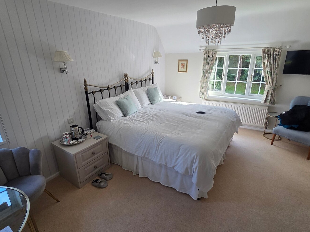 Stream House Luxury Bed & Breakfast主图