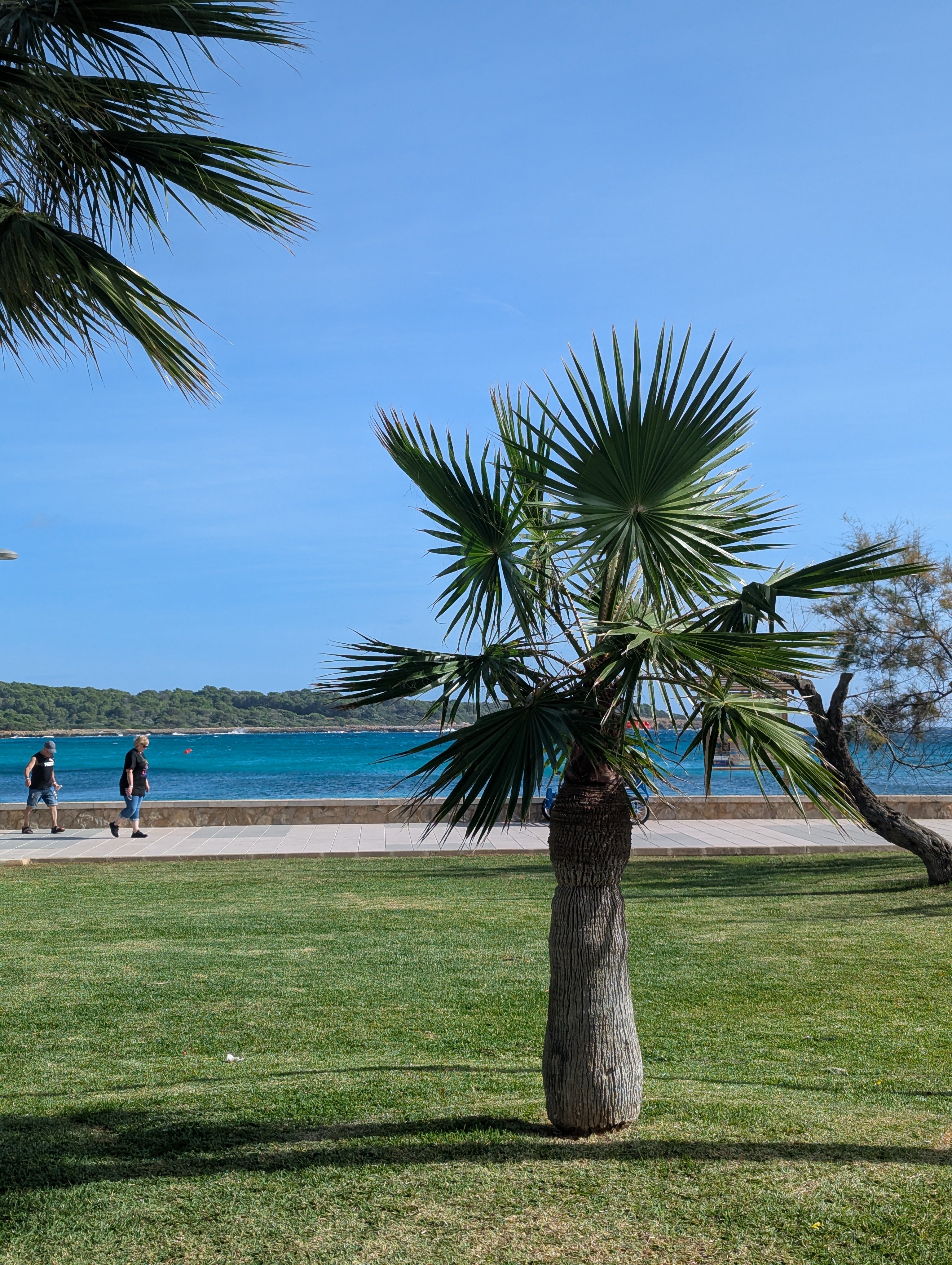 Hipotels Mediterraneo Club-官方