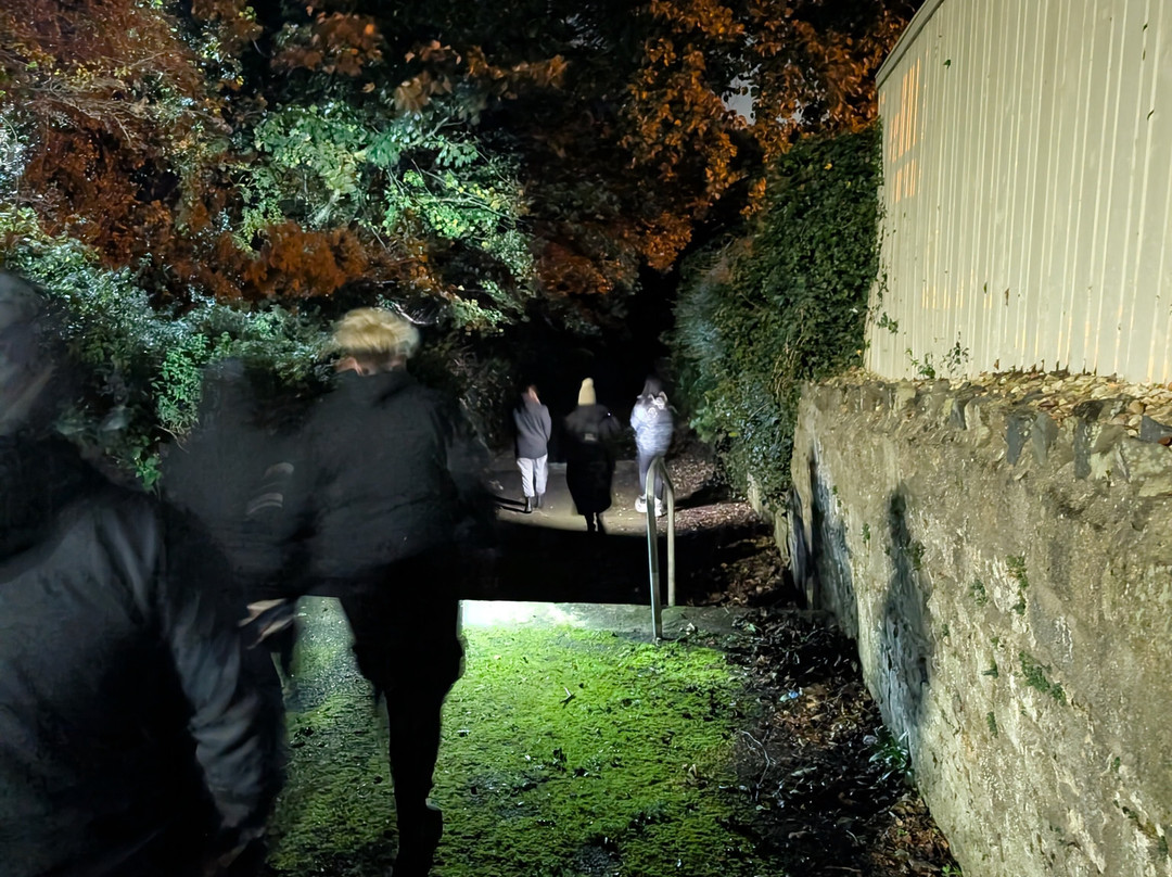 Newry City Tours-纽里必去景点