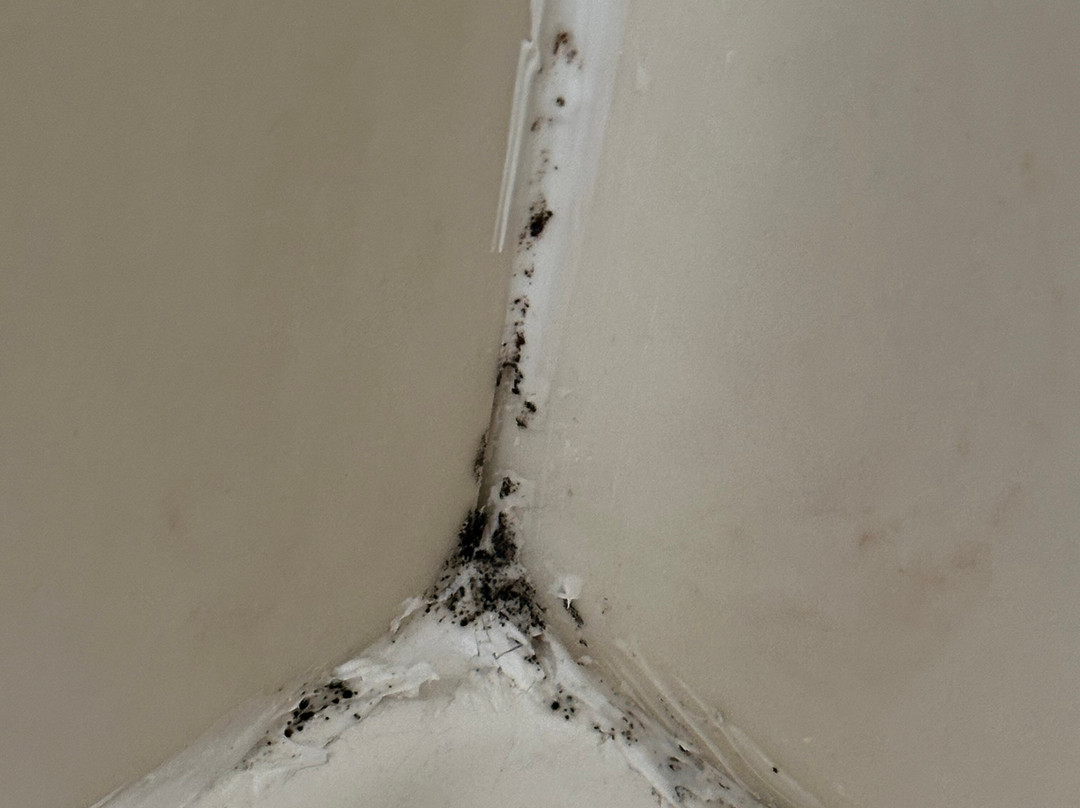 埃芬汉希尔顿花园旅馆主图