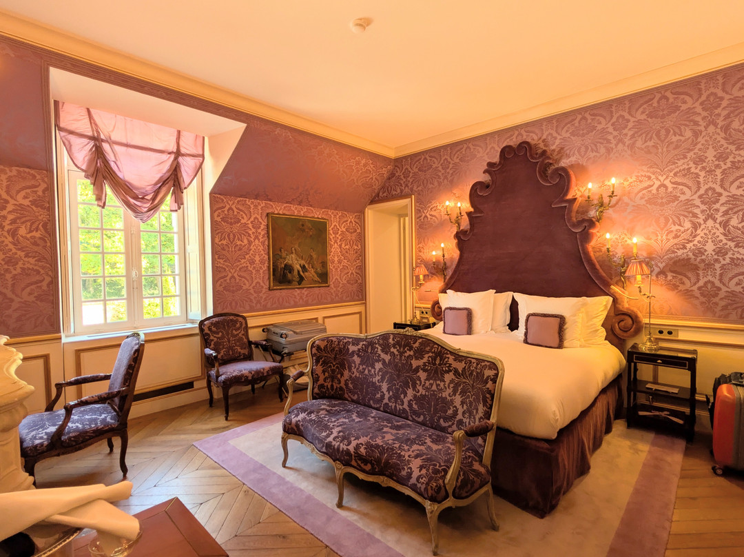 Château Louise De La Vallière Reugny主图