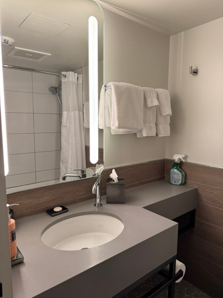 The Wildbirch Hotel - JdV by Hyatt-浴室