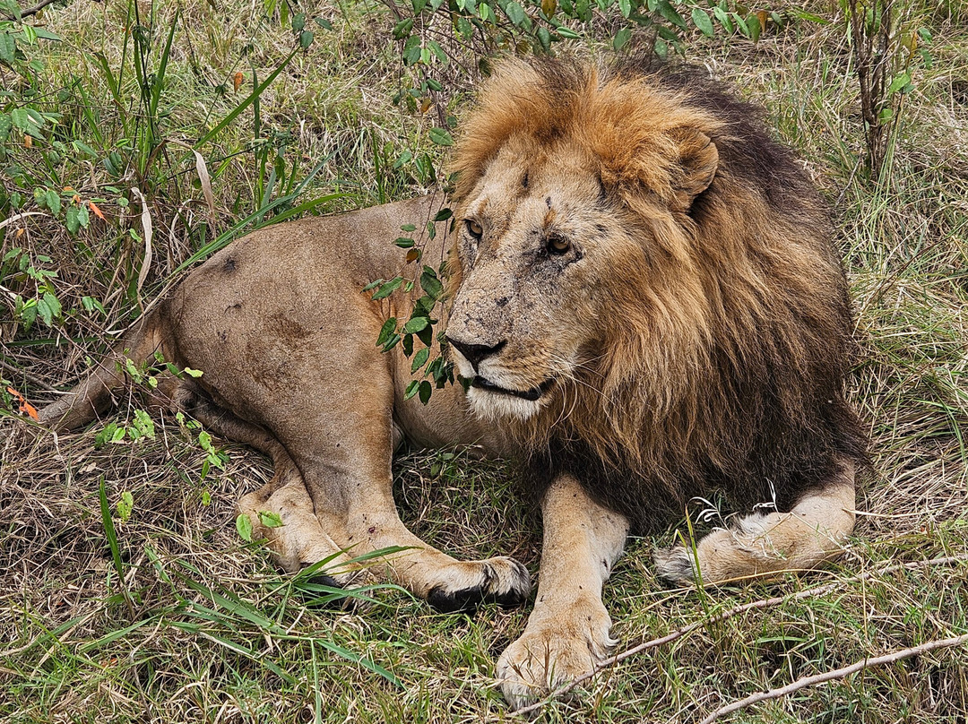 Tanzania Roadside Expeditions-阿鲁沙必去景点