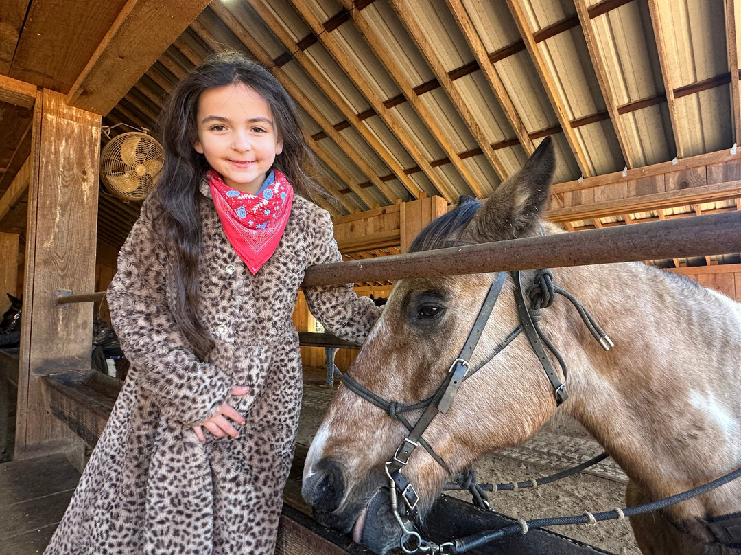 Appalachian Trail Rides-Mineral Bluff必去景点
