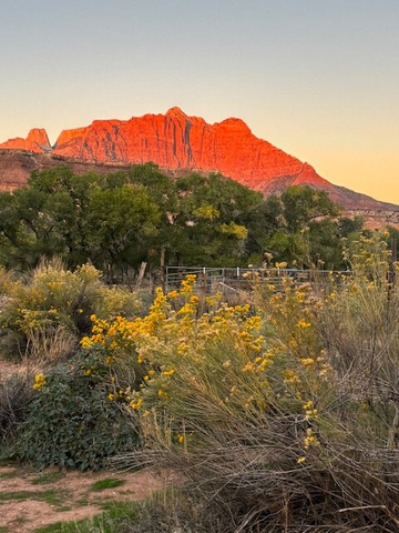 Tyler Inn at Zion主图