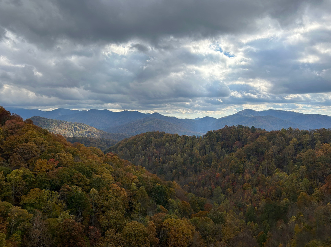 Navitat Canopy Adventures-Barnardsville必去景点