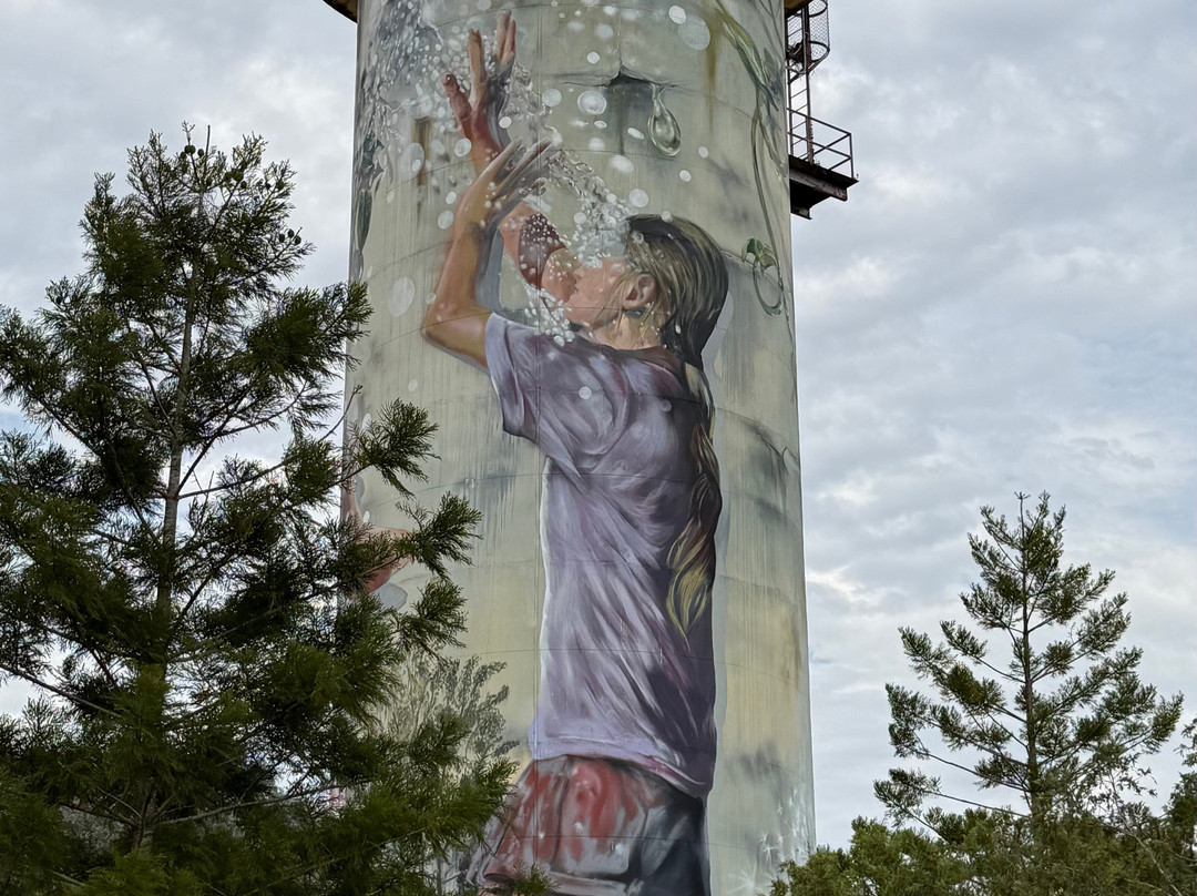 Monto Colonial Motor Inn主图