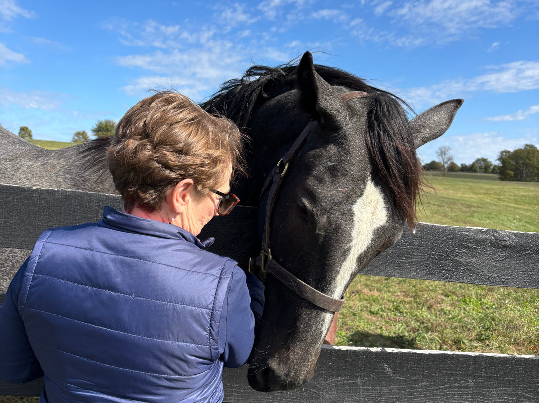 Mill Ridge Farm-列克星敦必去景点