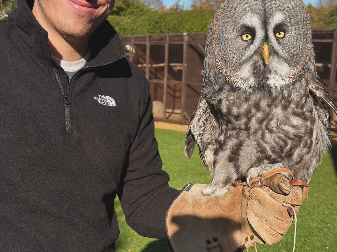 West Sussex Falconry-Compton必去景点