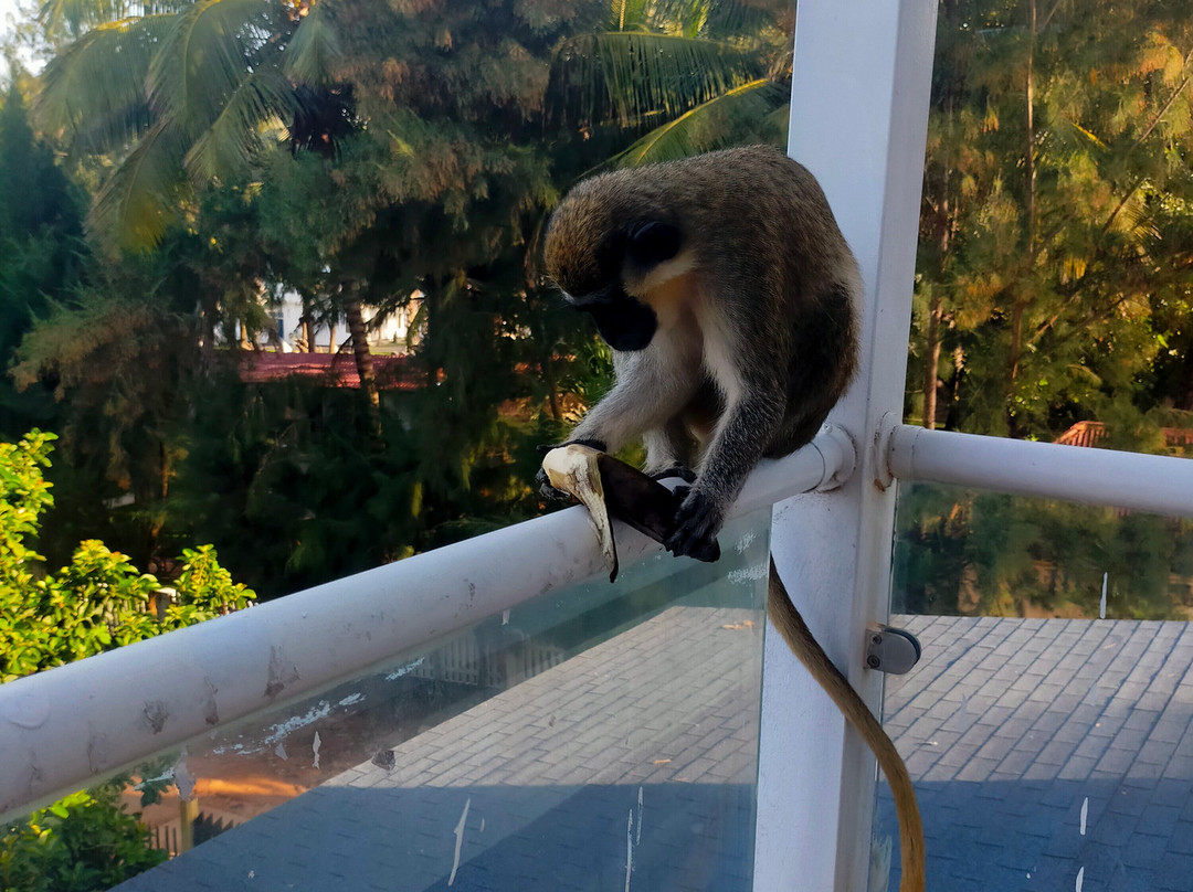 Kasumai Beach Resort主图