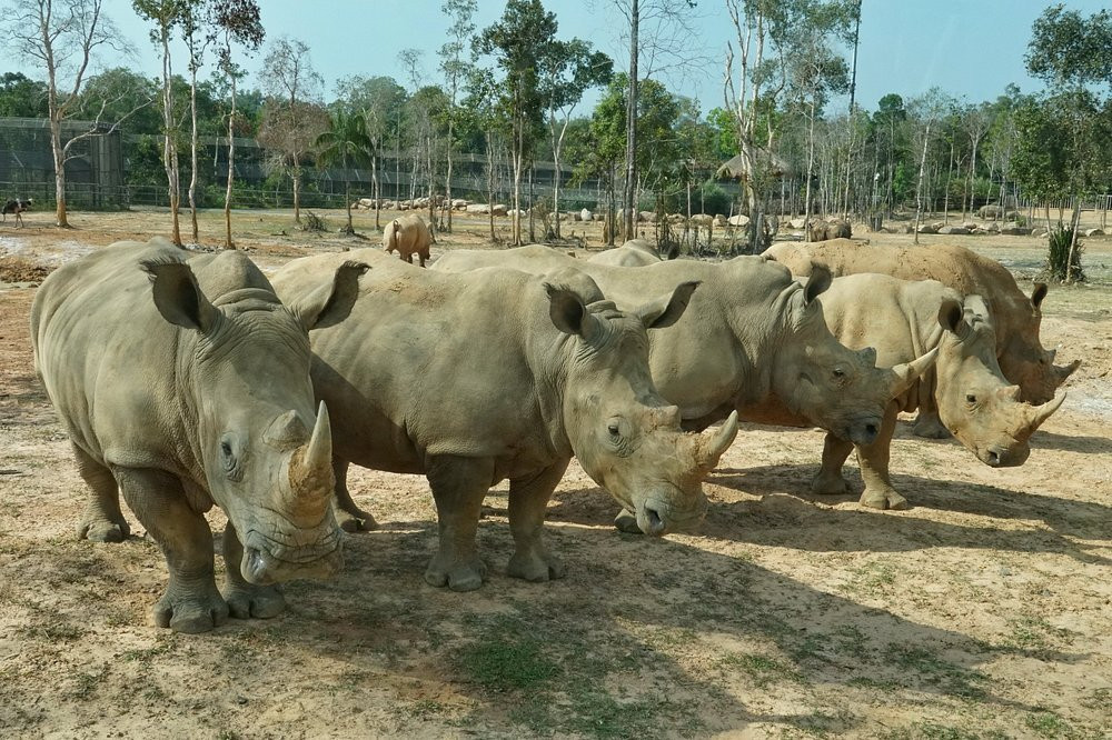 珍珠王国野生动物园-富国岛必去景点