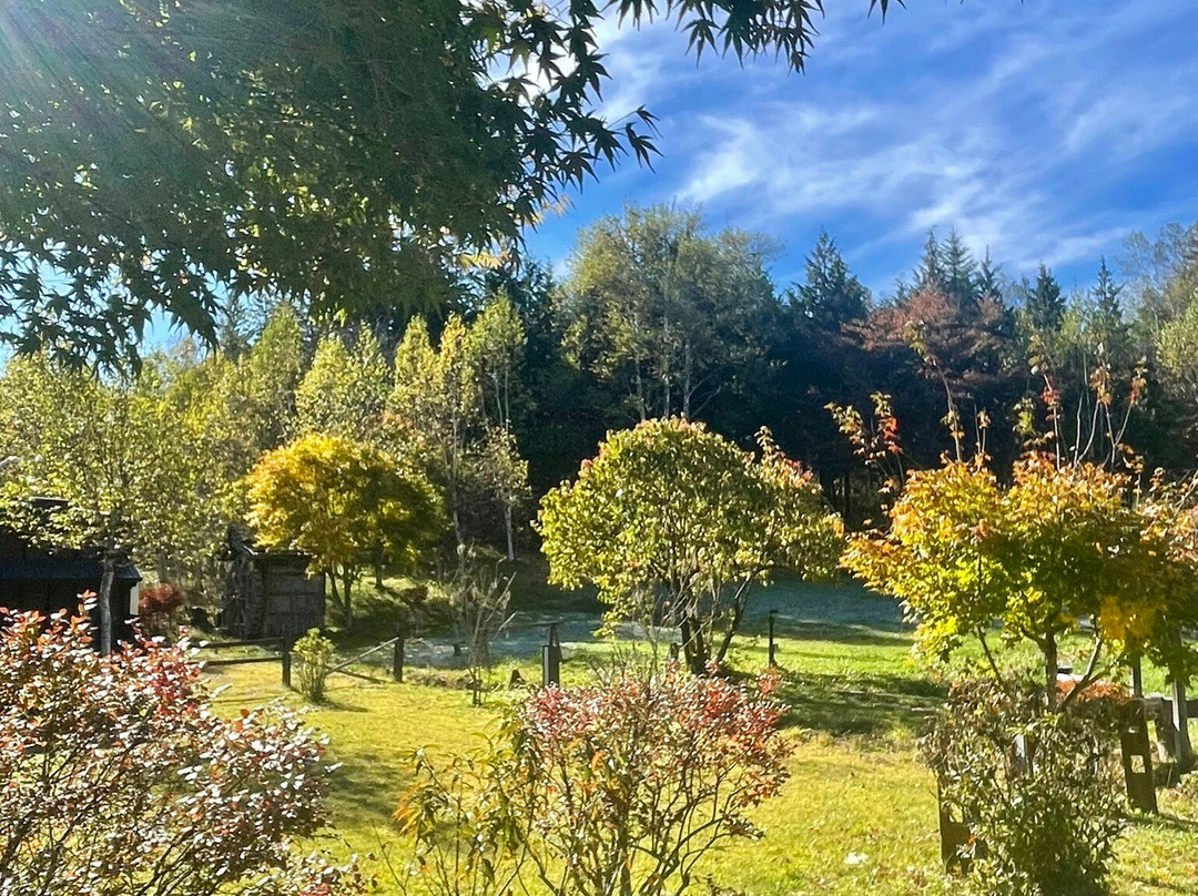 Tsutaya Tokinoyado Kazari主图