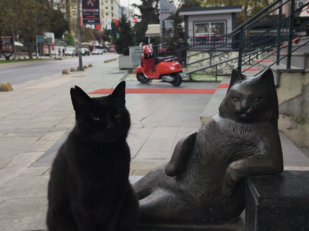 Monuemnt to the Cat Tombili-伊斯坦布尔必去景点