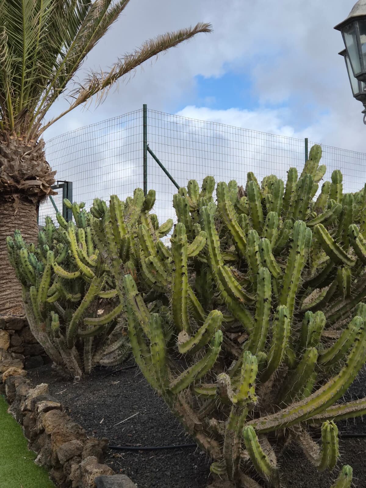 Hotel Rural Mahoh-官方