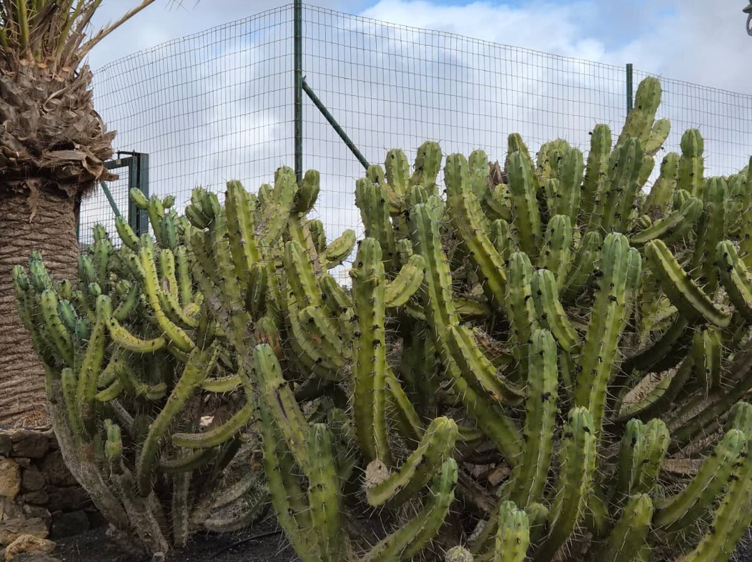 Hotel Rural Mahoh主图