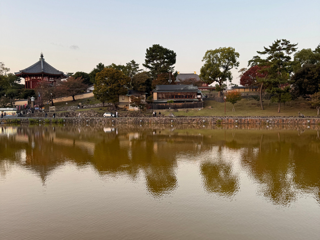 Sarusawa Pond-奈良市必去景点