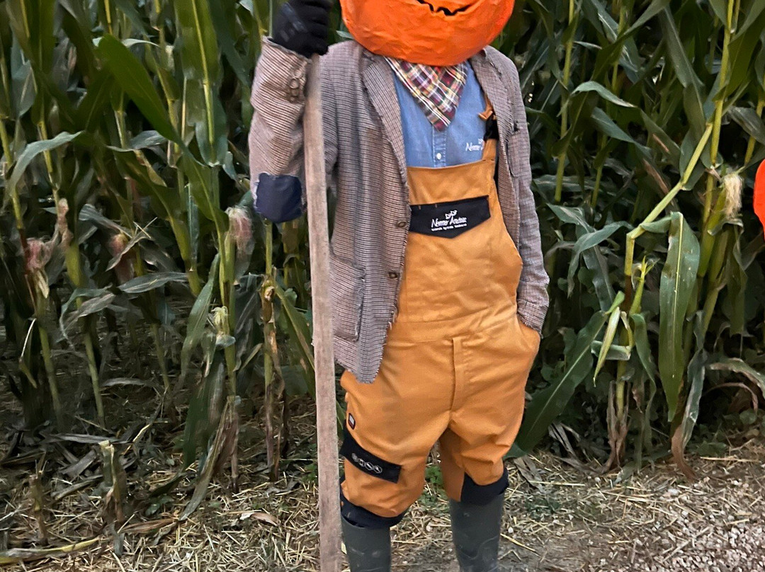 Nonno Andrea-维洛尔巴必去景点