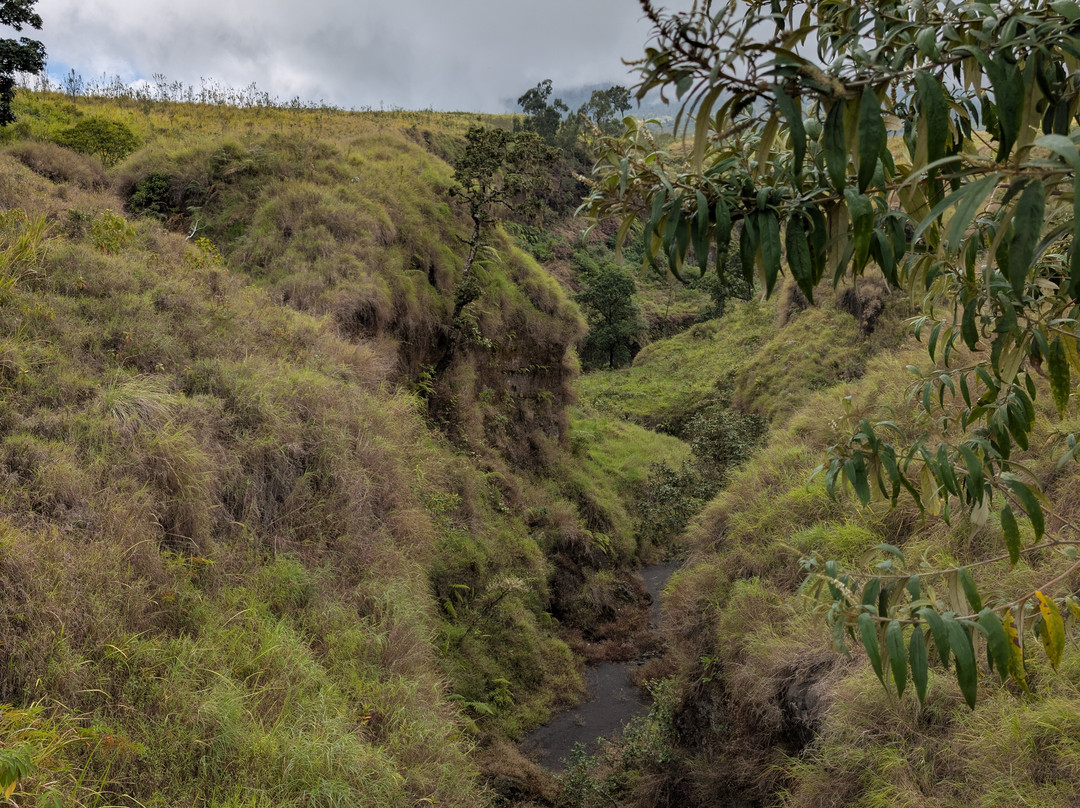 Atta's Travel-Gili Meno必去景点