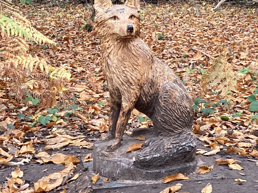 Holt Country Park-诺威奇必去景点