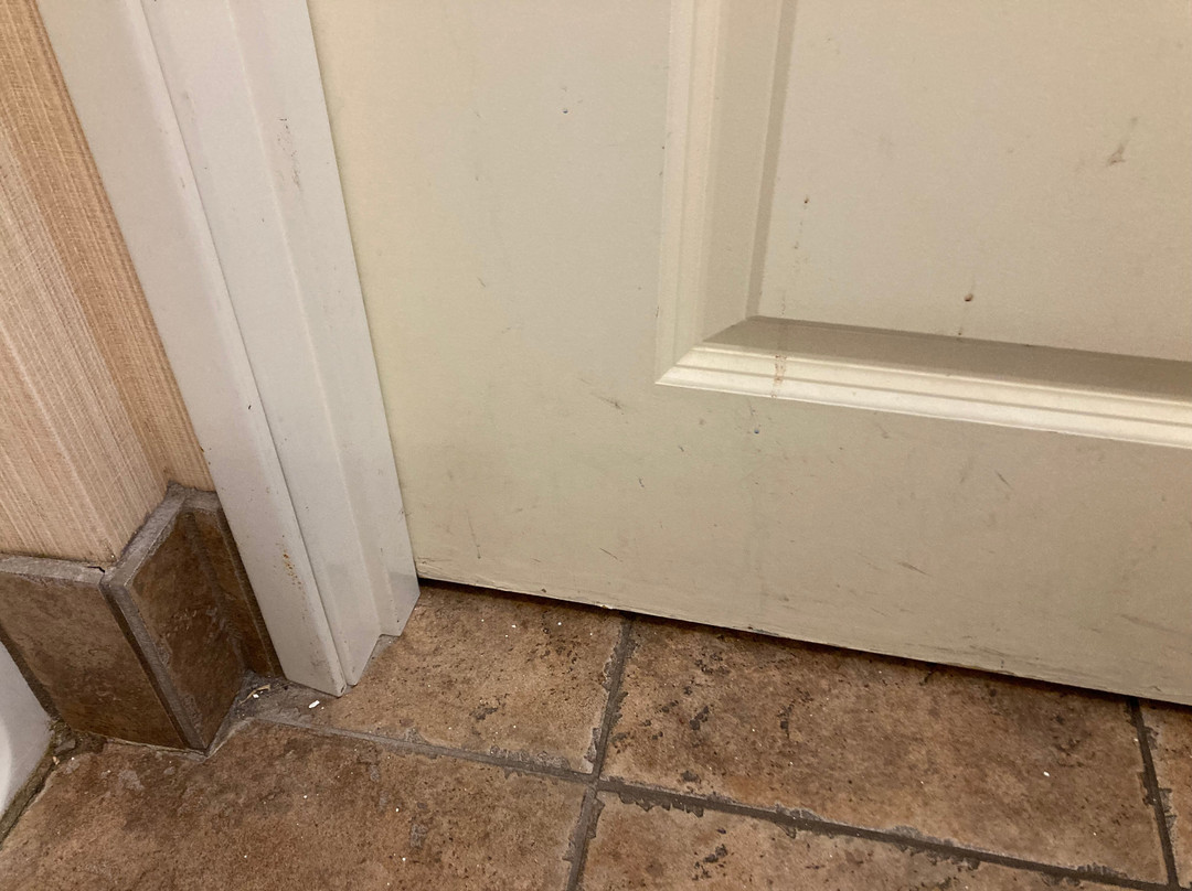 Holiday Inn Lincoln Southwest by IHG主图