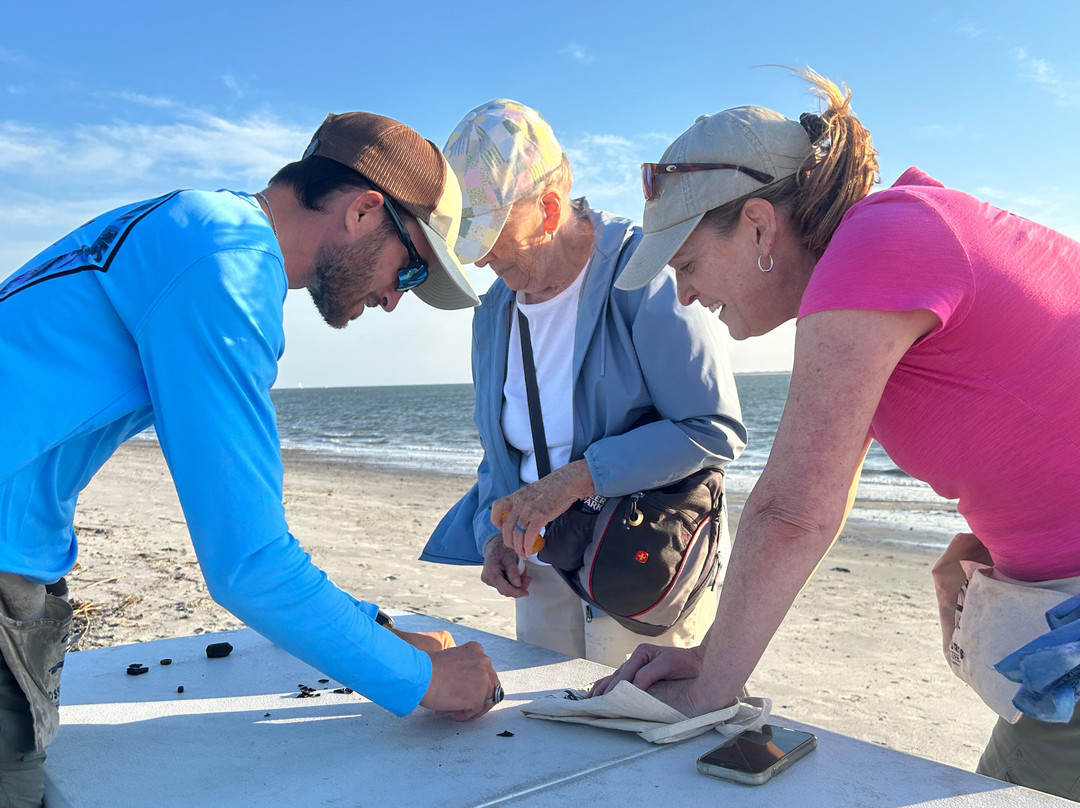 Charleston Fossil Adventures-查尔斯顿必去景点
