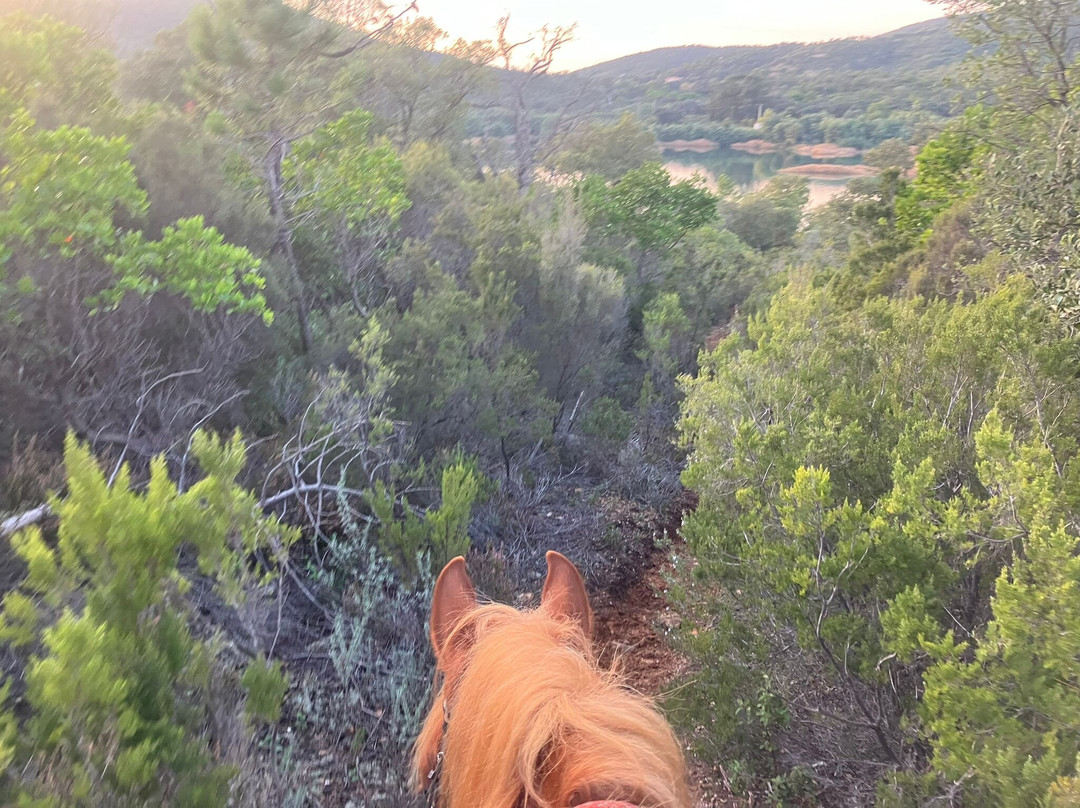 Aventure cheval. Randonnées à cheval-La Crau必去景点