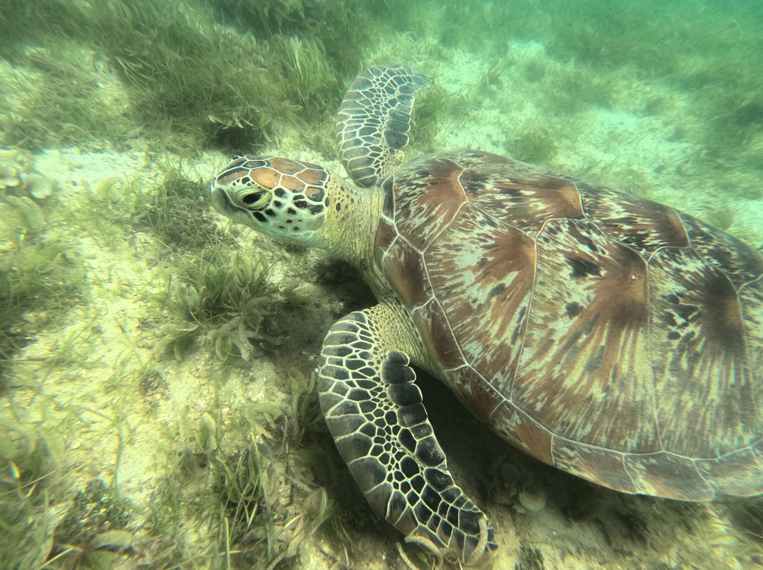 Colours Of Madagascar-Hell-Ville必去景点