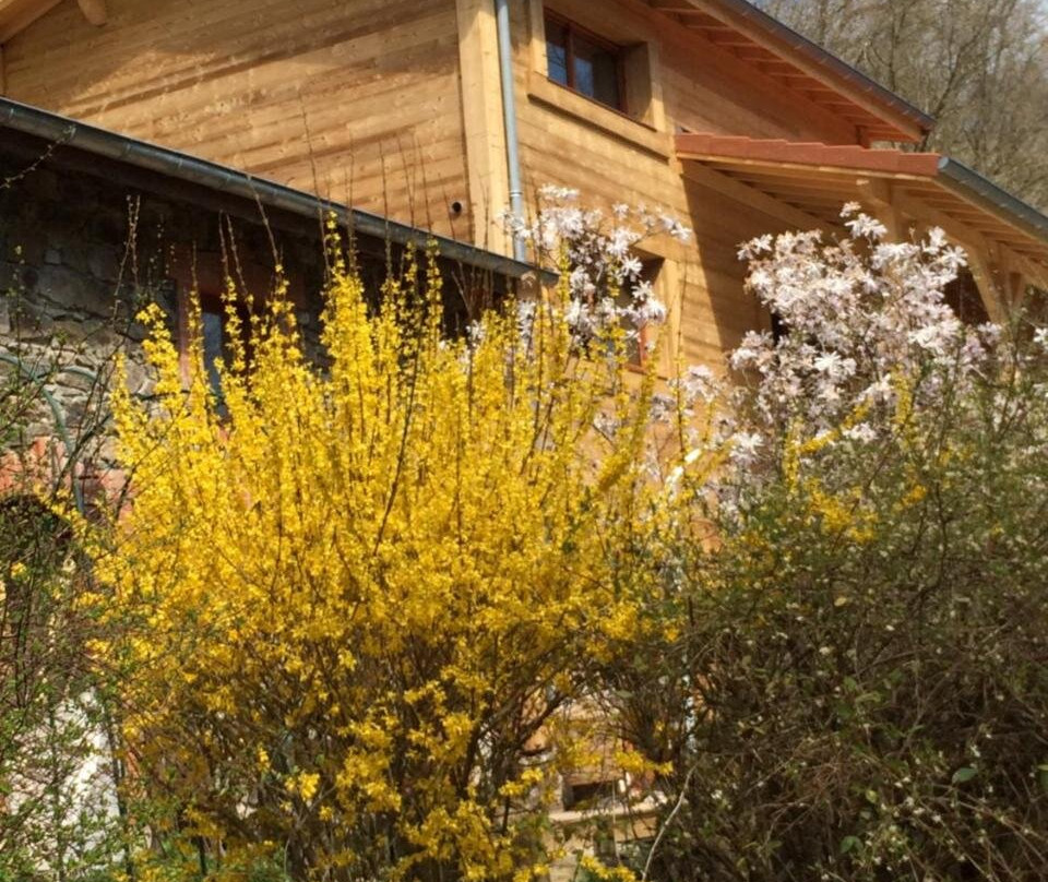 Maringes酒店住宿-Les Sitelles de Bamboche