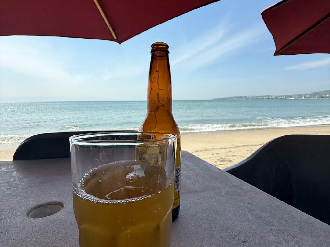 Hotel Palmeras主图