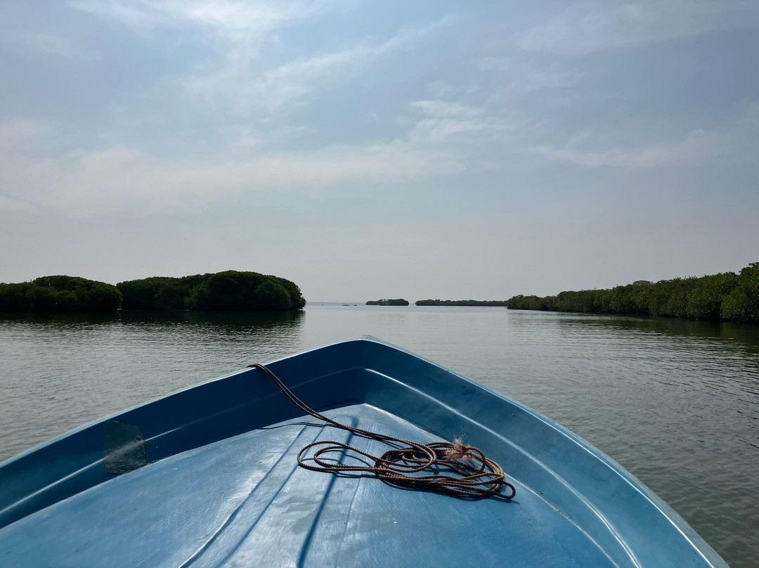 Liam Boat Safari-尼甘布必去景点