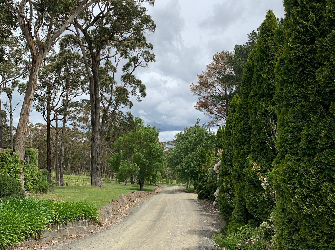Mount Macedon Winery-马其顿必去景点