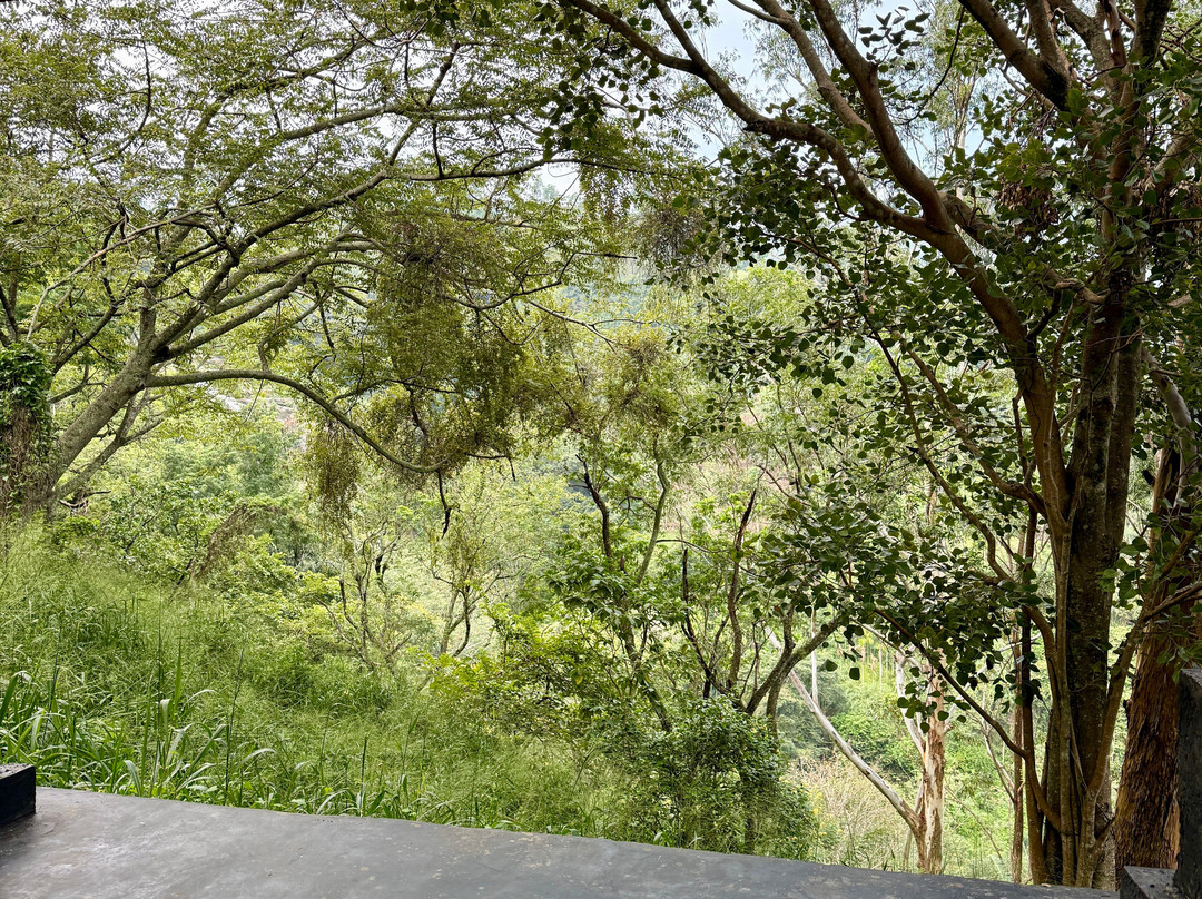 Yoga Ella-埃勒必去景点