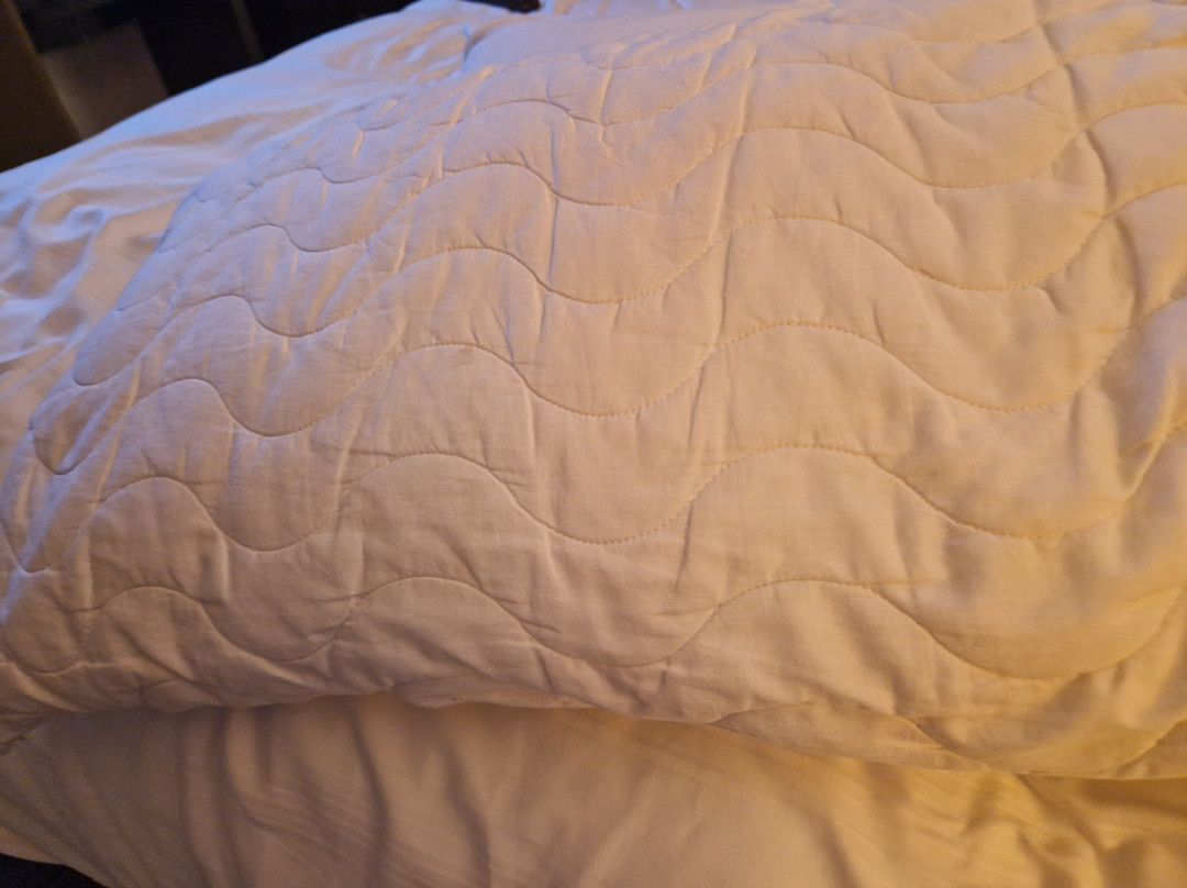 普瑞米尔布莱顿市中心酒店