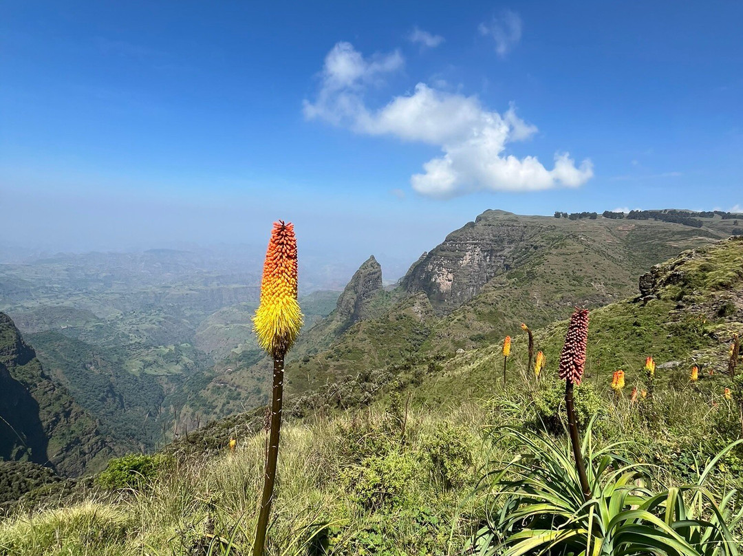 Discover Simien Tour-亚的斯亚贝巴必去景点