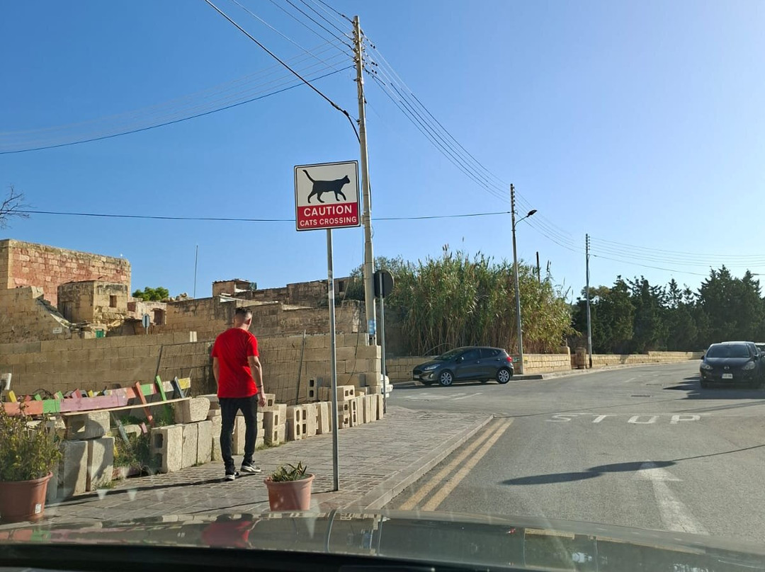 M Cabs & Car Rentals-Fgura必去景点