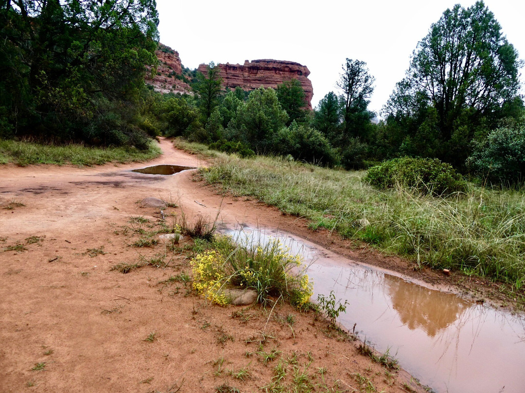 Boynton Canyon Trail-塞多纳必去景点